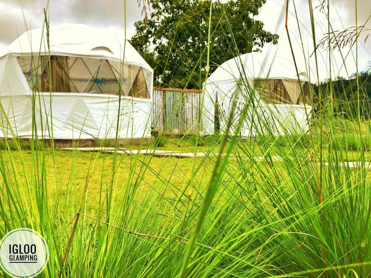 Hotel Igloo Glamping Bali Kintamani Zewnętrze zdjęcie